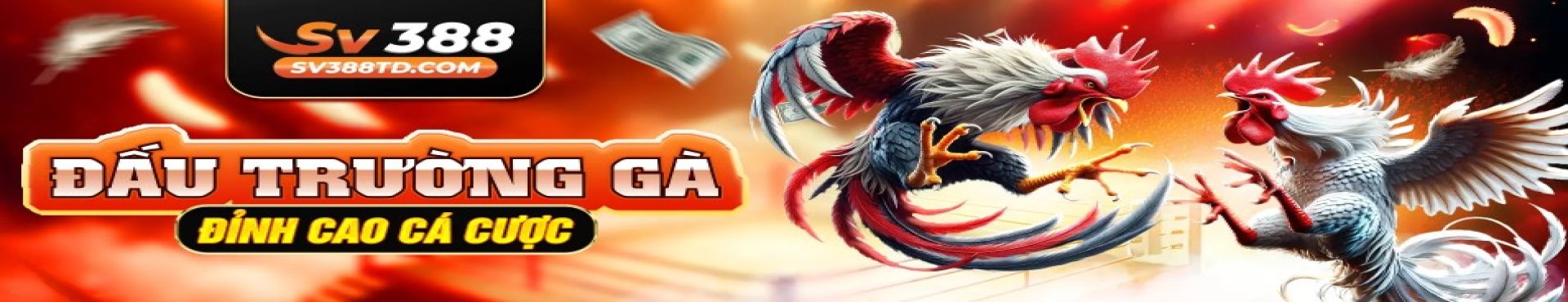 user banner