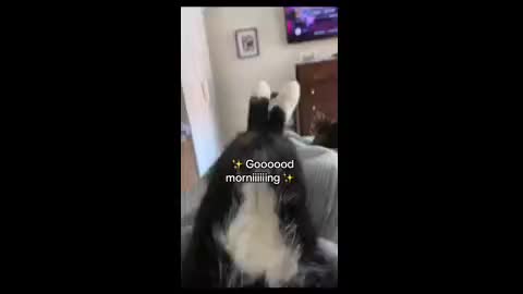 This feeling in the mornings