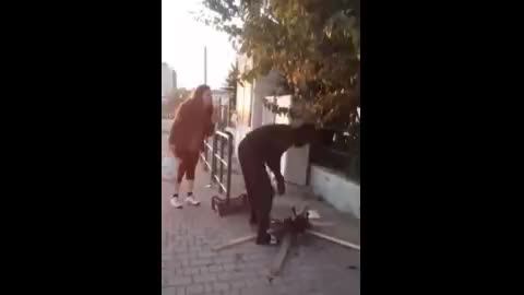 Immigrant cat BBQ