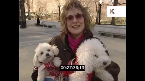 1990 interview with an Upper East Side woman (NYC)