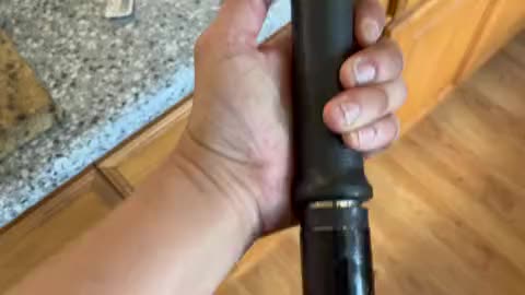 dude tests his cattle prod on himself before using it on cat
